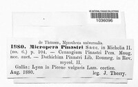 Micropera pinastri image